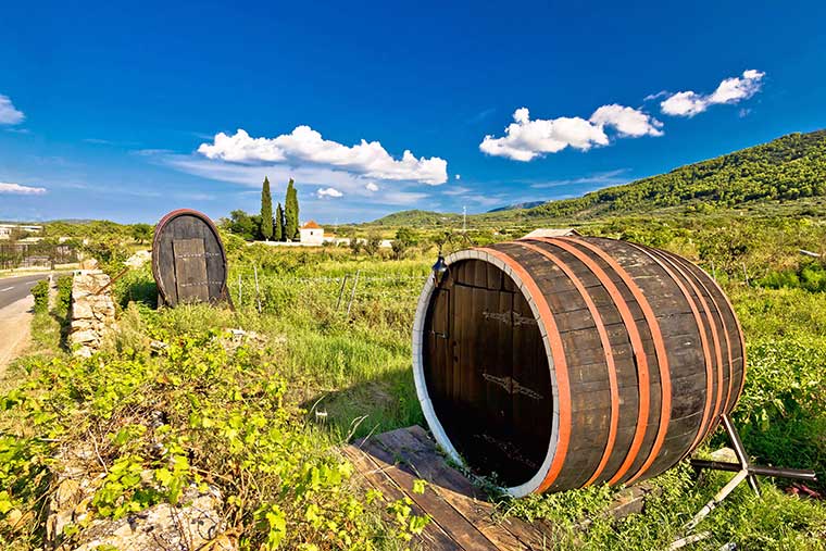 Vineyards in Stari Grad, Croatia